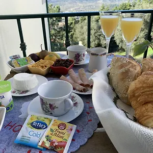 Deluxe Com Terraço E Varanda Privada - 'casinha Da Amoreira' Alojamento de Acomodação e Pequeno-almoço Coimbra